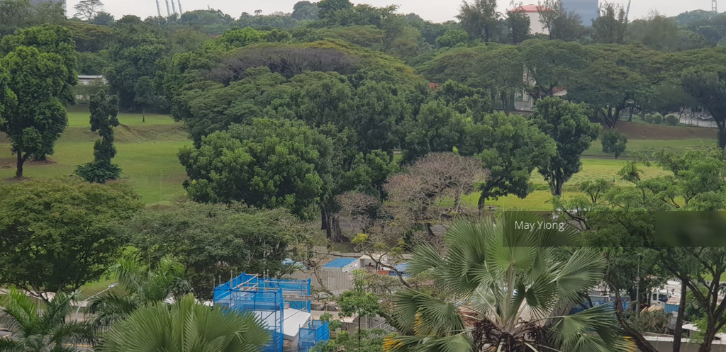 Blk 166 Stirling Road (Queenstown), HDB 3 Rooms #216101341